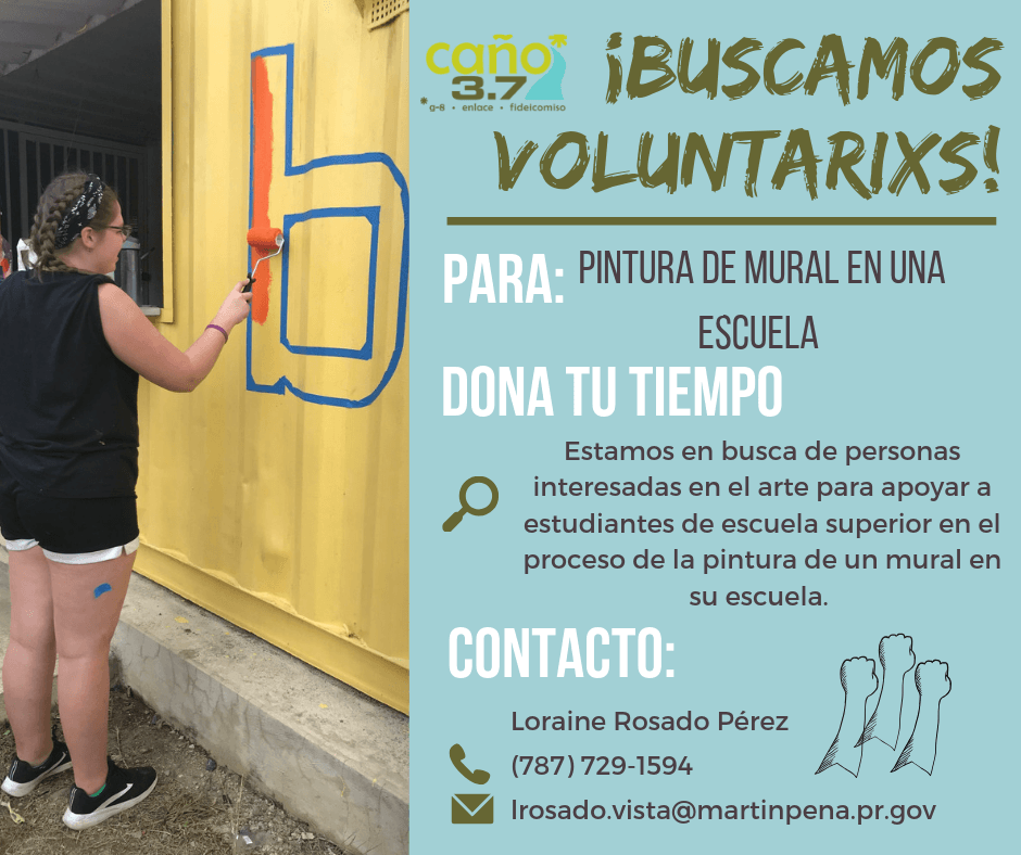 Buscamos Voluntarixs - Proyecto ENLACE del Caño Martín Peña